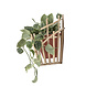 Bloomingville Muur bloempot terracotta bamboe Bloomingville Muur bloempot terracotta bamboe