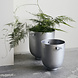 Foem flower pot - aluminum Foem flower pot - aluminum