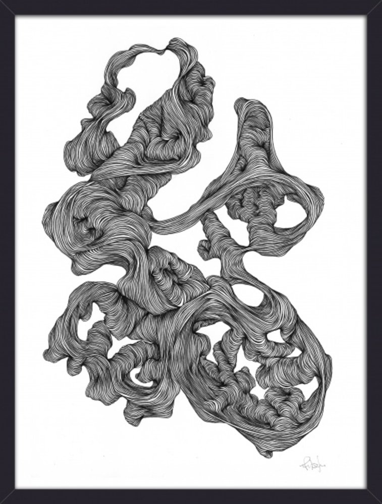 Nordal Rocaille illustration - black and white