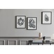 Nordal Rocaille illustration - zwart/wit Nordal Rocaille illustration - zwart/wit
