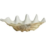 Nordal Kichi decoration shell Nordal Kichi decoration shell