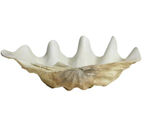 Nordal Conchiglia decorativa Kichi Nordal Conchiglia decorativa Kichi