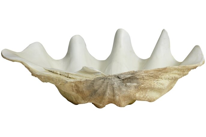 Nordal Kichi decoratie schelp