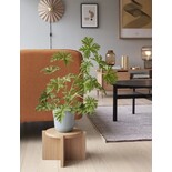 Hubsch Salontafel eikenhout rond - zwart Hubsch Salontafel eikenhout rond - zwart
