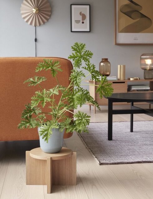 Hubsch Planten standaard eikenhout - naturel