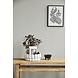 Nordal Anise schaal - wit Nordal Anise schaal - wit