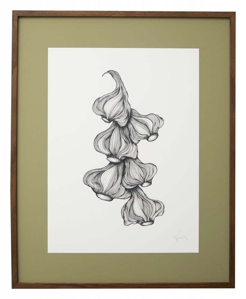 Nordal Garlic illustration - donker eiken Nordal Garlic illustration - donker eiken