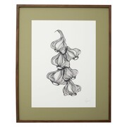 Nordal Garlic illustration - donker eiken Nordal Garlic illustration - donker eiken