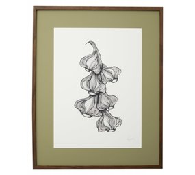 Nordal Knoblauchillustration - dunkle Eiche Nordal Knoblauchillustration - dunkle Eiche