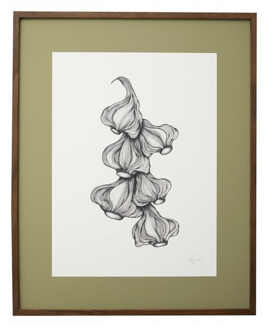 Nordal Illustrazione di aglio - rovere scuro