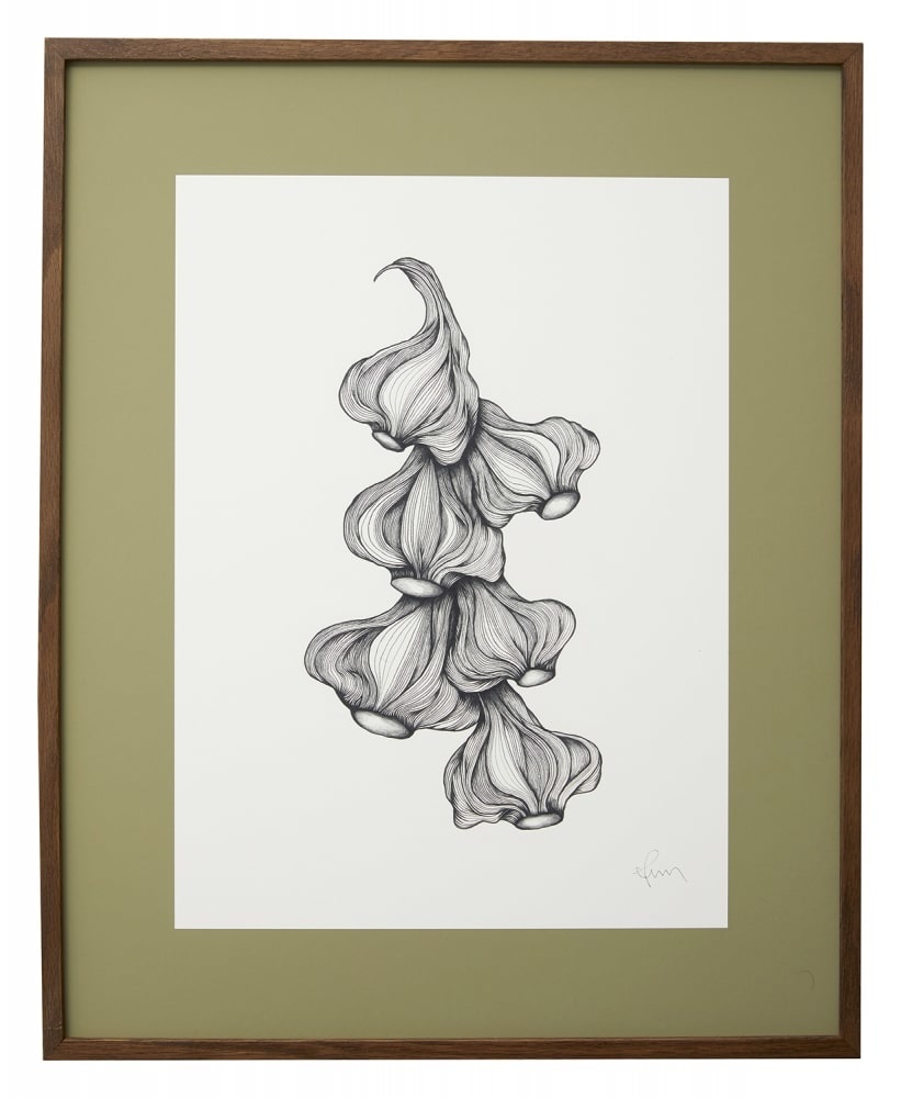 Nordal Illustration de l'ail - chêne foncé