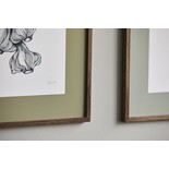 Nordal Knoblauchillustration - dunkle Eiche Nordal Knoblauchillustration - dunkle Eiche