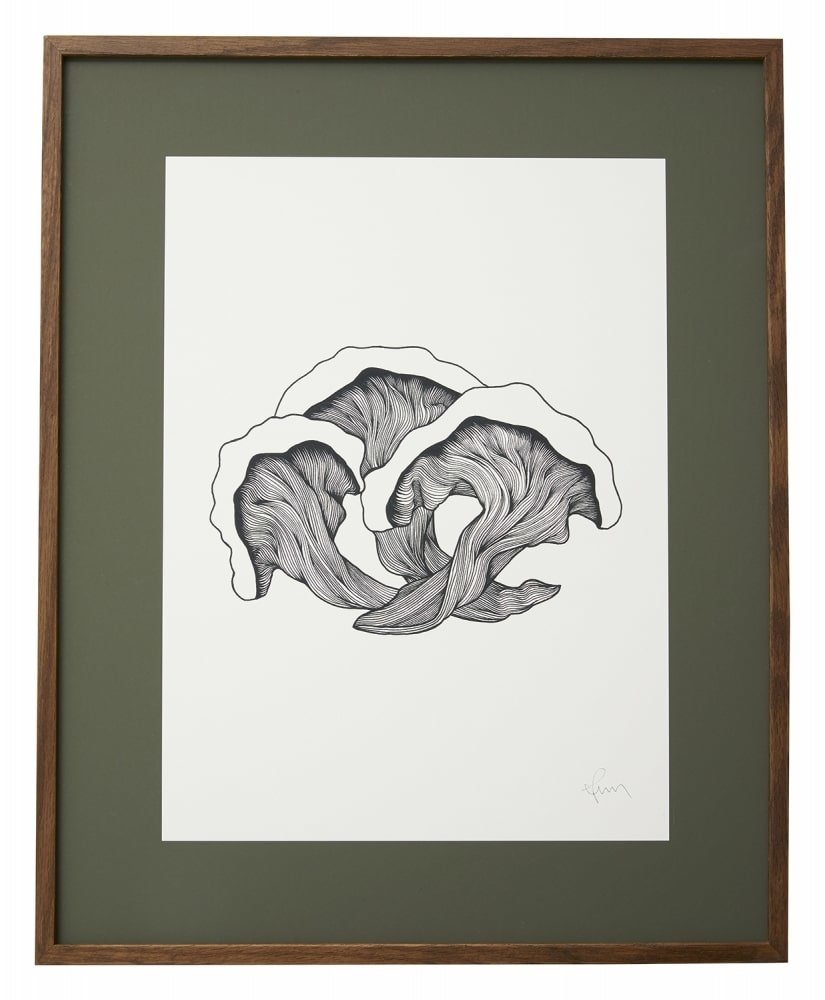 Nordal Pilzillustration - dunkle Eiche Nordal Pilzillustration - dunkle Eiche