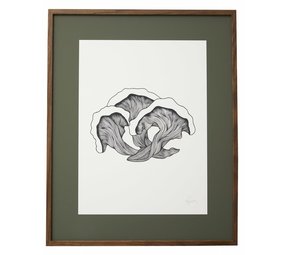 Nordal Pilzillustration - dunkle Eiche Nordal Pilzillustration - dunkle Eiche