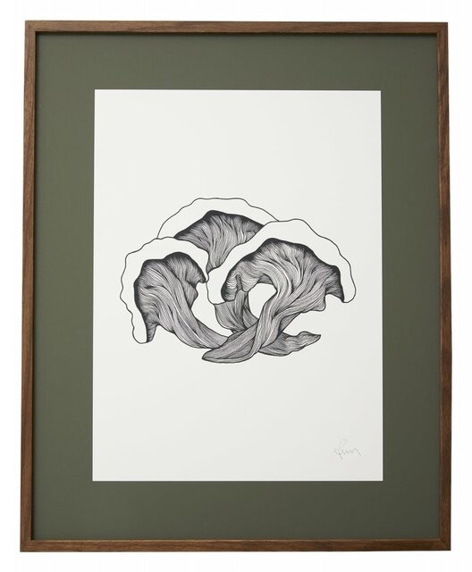 Nordal Fungi illustration - donker eiken