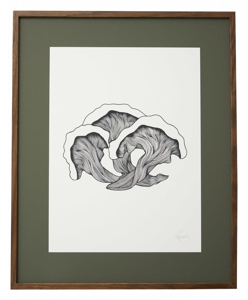 Nordal Illustration de champignons - chêne foncé