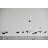 Nordal Garo champagneglas röd - uppsättning med 8 delar Nordal Garo champagneglas röd - uppsättning med 8 delar