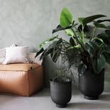 House Doctor Vig blom set grå