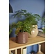 Hubsch Sideboard - natur/orange Hubsch Sideboard - natur/orange