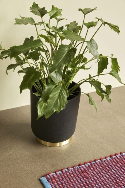 Hubsch Flower pots black - set of 2 pieces Hubsch Flower pots black - set of 2 pieces