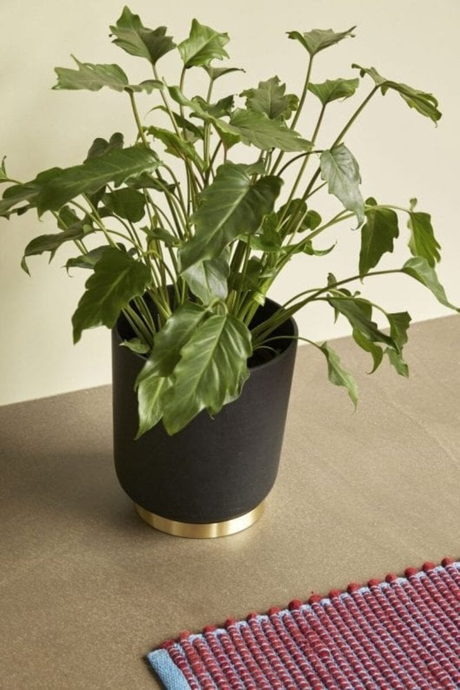 Hubsch Wollteppich - blau/burgunderrot Hubsch Wollteppich - blau/burgunderrot