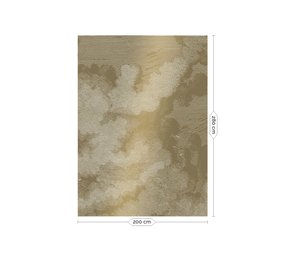 KEK Amsterdam Graverad moln guld tapet MW-010- 200x280cm