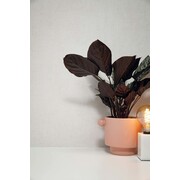 KEK Amsterdam Hotel chic wallpaper - berlin