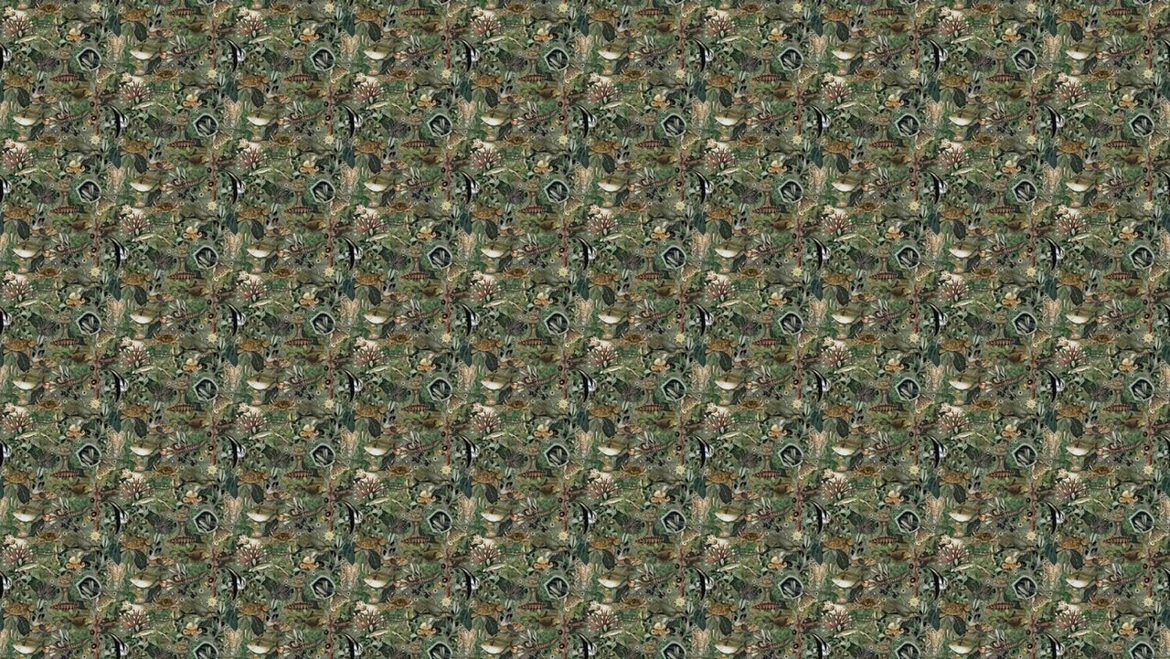 KEK Amsterdam Papier peint photo jungle sous-marine WP-697 - 389,6 x 280 cm KEK Amsterdam Papier peint photo jungle sous-marine WP-697 - 389,6 x 280 cm