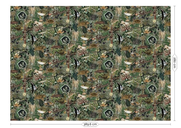 KEK Amsterdam Papel pintado fotográfico de la selva submarina WP-697 - 389,6 x 280 cm KEK Amsterdam Papel pintado fotográfico de la selva submarina WP-697 - 389,6 x 280 cm
