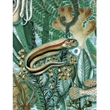 KEK Amsterdam Papier peint photo jungle sous-marine WP-694 - 292.2 x 280 cm KEK Amsterdam Papier peint photo jungle sous-marine WP-694 - 292.2 x 280 cm