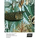 KEK Amsterdam Underwater jungle fotobehang WP-694 - 292,2 x 280 cm KEK Amsterdam Underwater jungle fotobehang WP-694 - 292,2 x 280 cm
