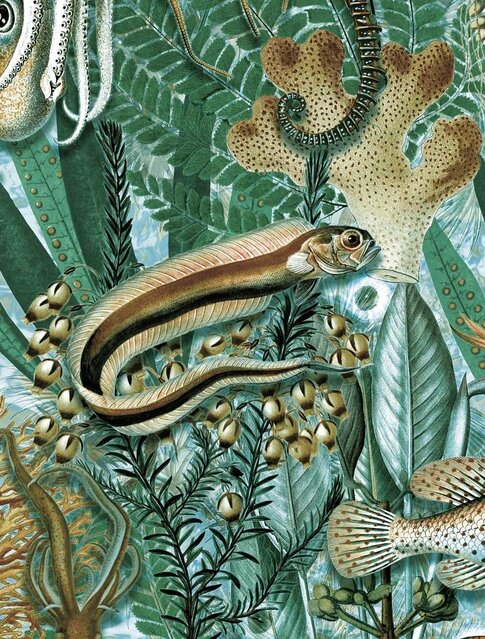 KEK Amsterdam Papel pintado fotográfico de la selva submarina WP-688 - 194,8 x 280 cm