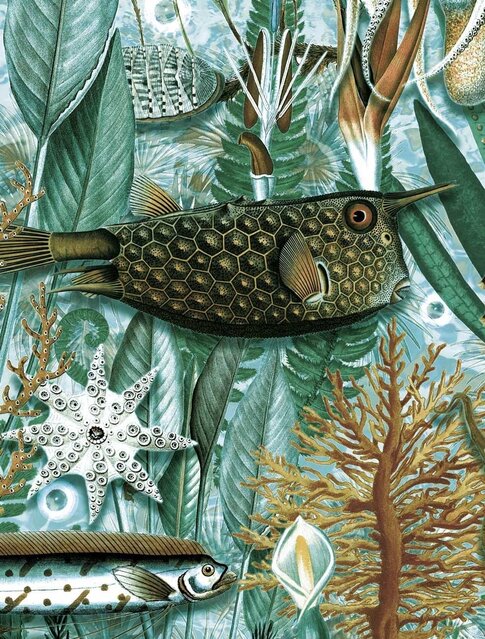 KEK Amsterdam Underwater jungle wall mural WP-688 - 194.8 x 280 cm