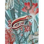 KEK Amsterdam Underwater jungle fotobehang WP-687 - 194,8 x 280 cm KEK Amsterdam Underwater jungle fotobehang WP-687 - 194,8 x 280 cm