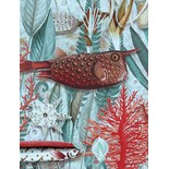 KEK Amsterdam Papel pintado fotográfico de la selva submarina WP-687 - 194,8 x 280 cm KEK Amsterdam Papel pintado fotográfico de la selva submarina WP-687 - 194,8 x 280 cm