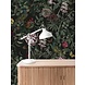 KEK Amsterdam Bold botanics behang WP-707 KEK Amsterdam Bold botanics behang WP-707