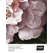 KEK Amsterdam Golden age flowers behangcirkel CK-012 - ø 190cm KEK Amsterdam Golden age flowers behangcirkel CK-012 - ø 190cm