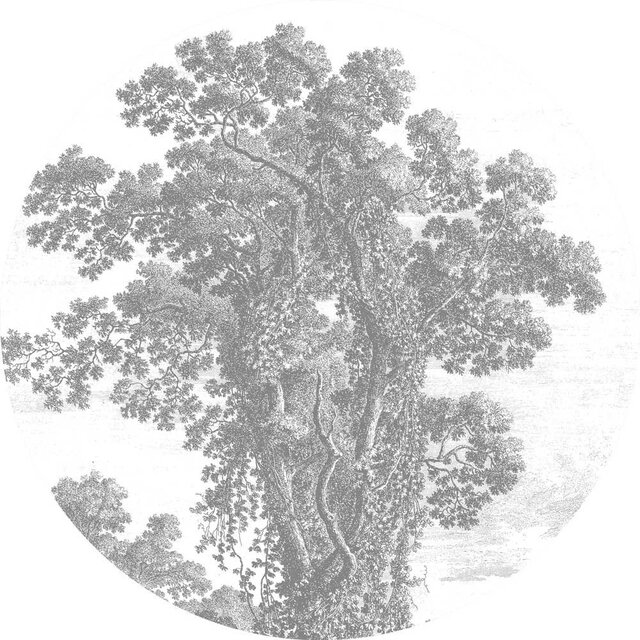 KEK Amsterdam Gravierte Landschaften Tapete Kreis SC-013- ø142,5cm
