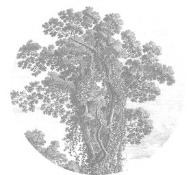 KEK Amsterdam Cercle de papier peint paysages gravés CK-013- ø190cm KEK Amsterdam Cercle de papier peint paysages gravés CK-013- ø190cm