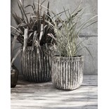 House Doctor Lot de 2 pots Pharao - 203841101 House Doctor Lot de 2 pots Pharao - 203841101