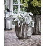 House Doctor Pharao potten set van 2 stuks - 203841101 House Doctor Pharao potten set van 2 stuks - 203841101