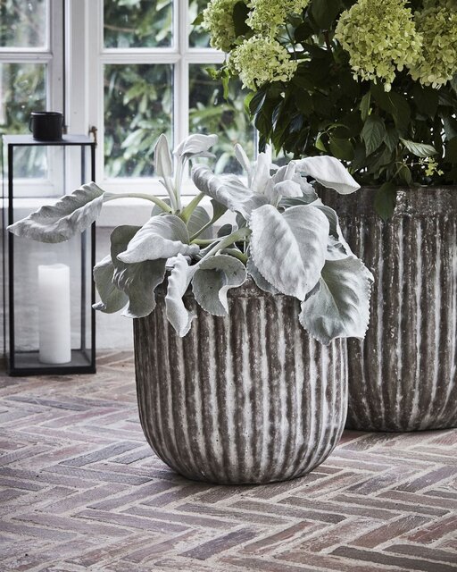 House Doctor Lot de 2 pots Pharao - 203841101 House Doctor Lot de 2 pots Pharao - 203841101