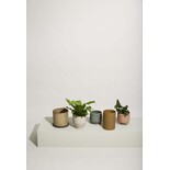 Hubsch Edna blomsterpotter brunt sett med 2 deler - 761504