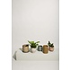 Hubsch Edna bloempotten bruin set van 2 stuks - 761504 Hubsch Edna bloempotten bruin set van 2 stuks - 761504