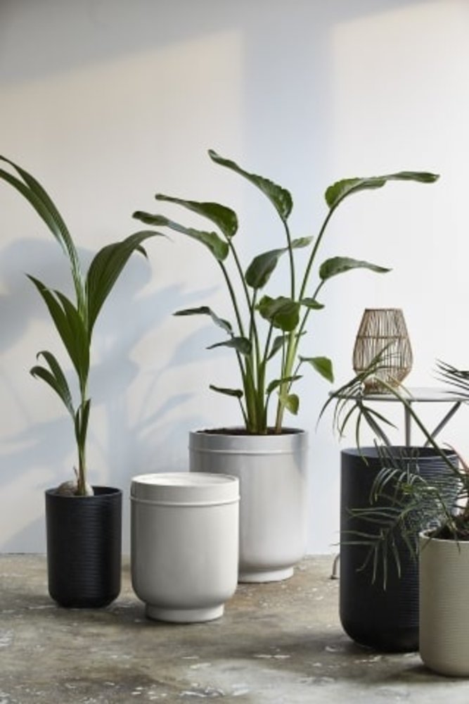 Nordal Eday blomsterpotter - 29009