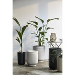 Nordal Eday urtepotter - 29009