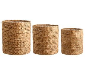 Nordal Ross planters