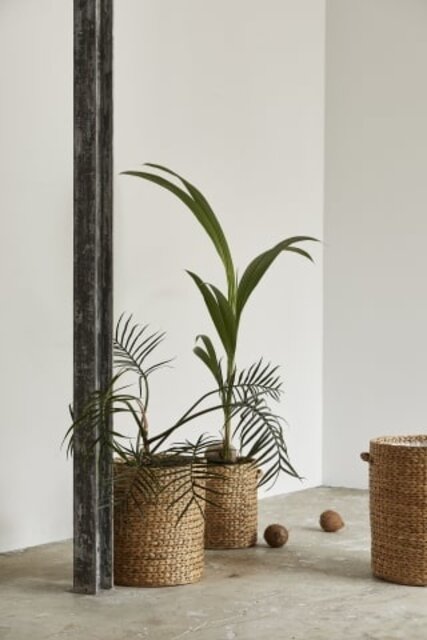 Nordal Jardinières Ross - 67407
