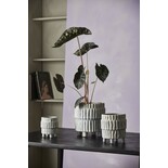 Nordal Gozo bloempot - 5290