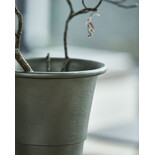 House Doctor Floristvas grön - 211150400